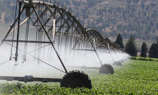 irrigation-6986021_640 irrigation-6986021_640